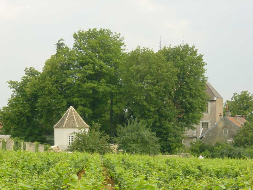 villa louise - le pigeonnier et les vignes de corton